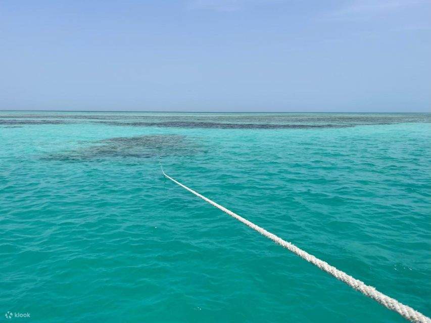 Croisière en bateau de plongée à Sharm Île de Tiran avec transferts privés