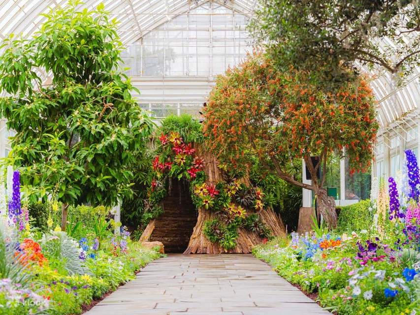 新品 NEWERA New York Botanical Garden L/XL New York Botanical Garden: Read Reviews & Book Classes in