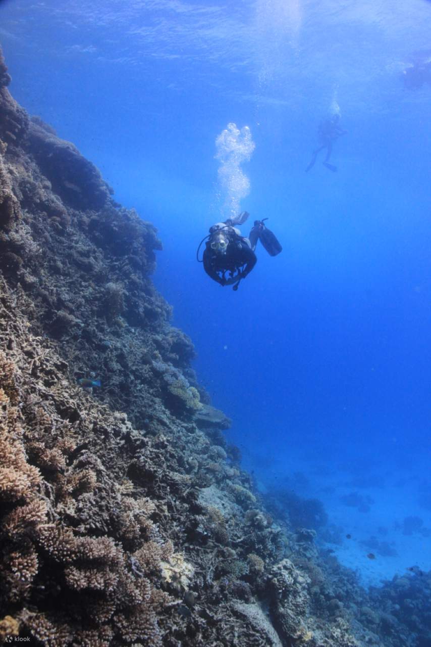 洪加达PADI开放水域潜水进阶课程 - 洪加达