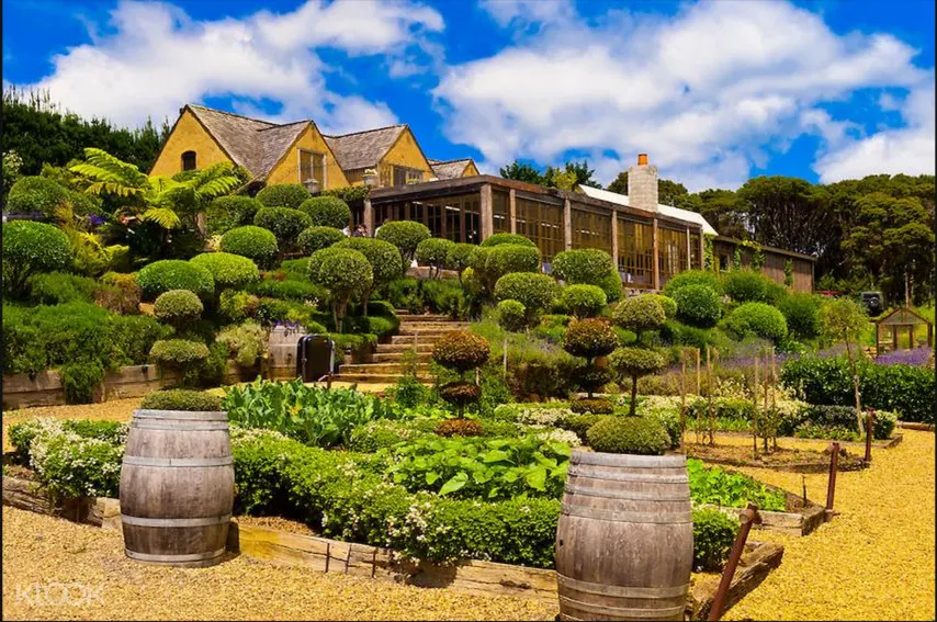 Waiheke Island Wine Tasting Half Day Tour Dari Auckland