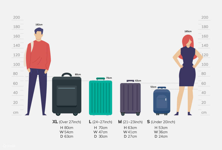 Scandinavian airlines on sale baggage size