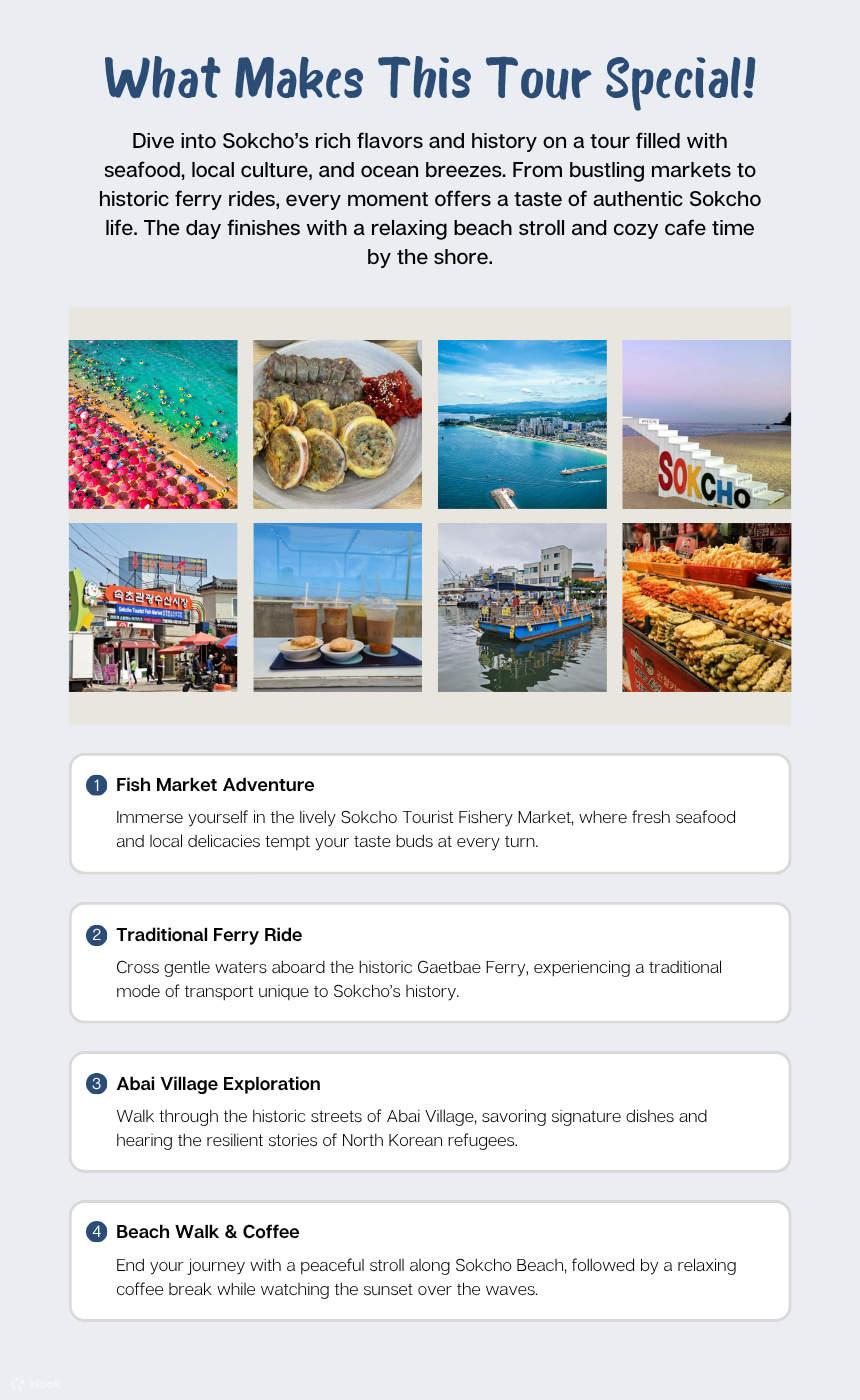 Tour en taxi de 3 horas por Sokcho