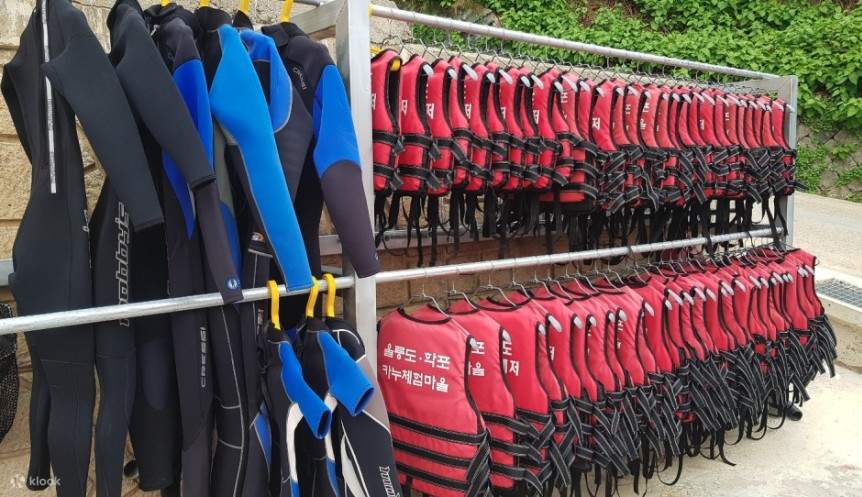 Ulleungdo Hakpo Beach Snorkeling Experience