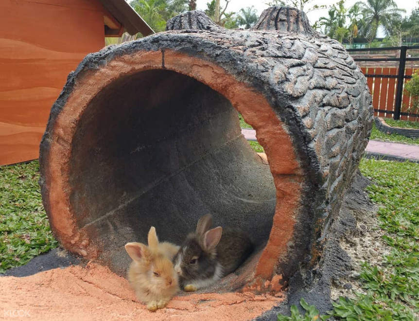 Tiket RAHMAT Zoo and Park di Medan