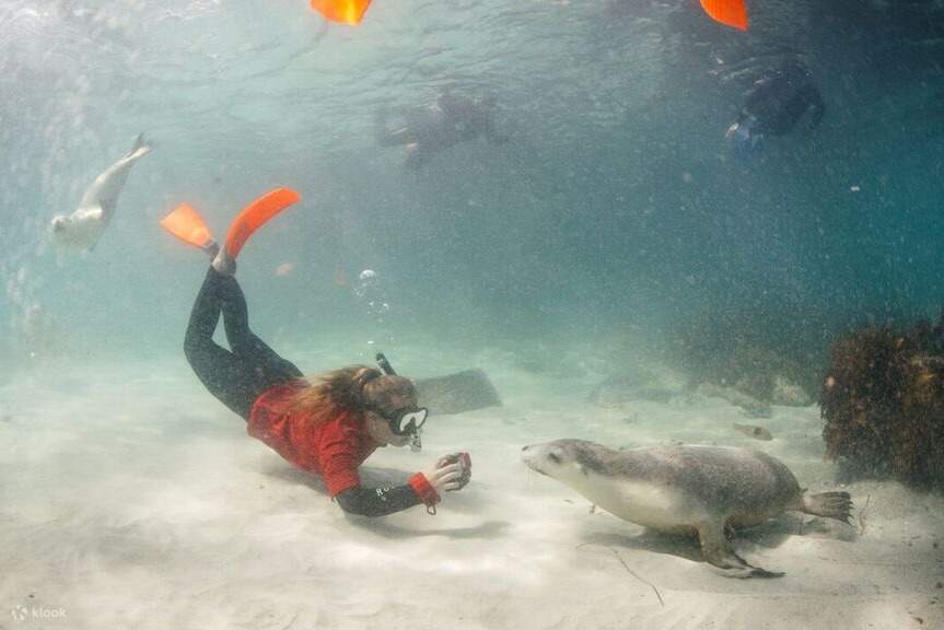 Aventura submarina de fin de semana en Port Lincoln