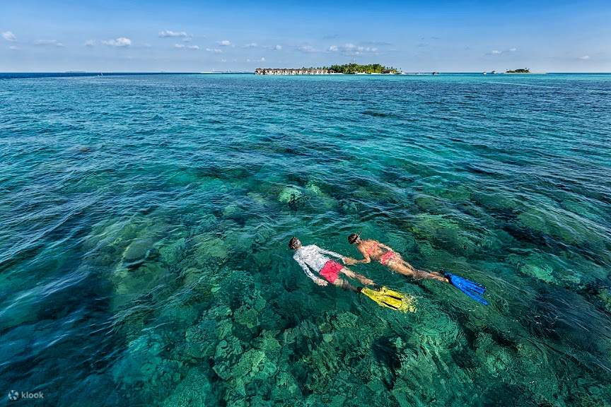 Tour Ngày Lặn ống thở Semporna