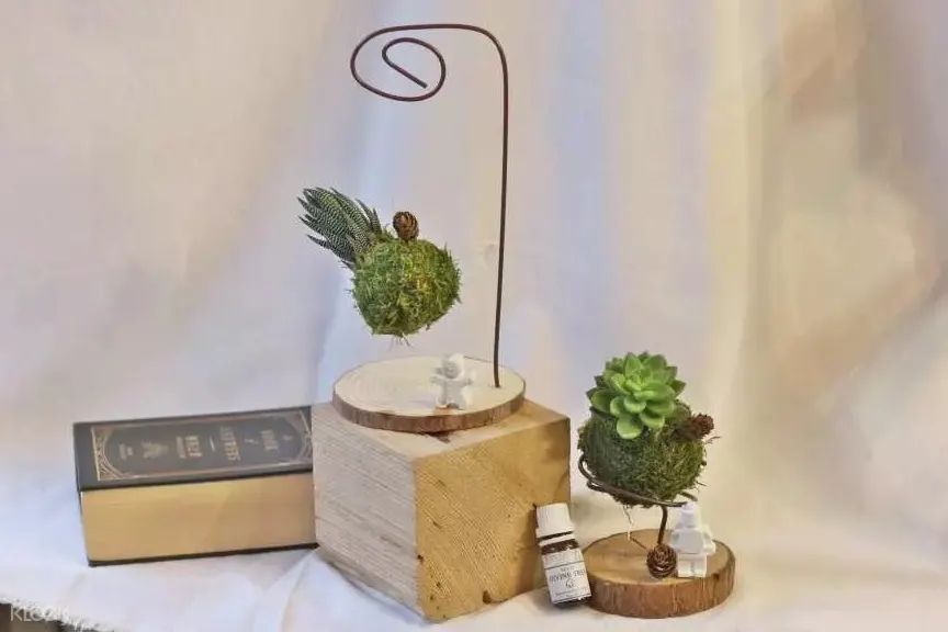 台北 原生態工作室 在家diy 現場體驗 花藝 植物生態瓶 多肉青苔球療癒植栽 花草茶入門diy 需電話預約 Klook客路台灣
