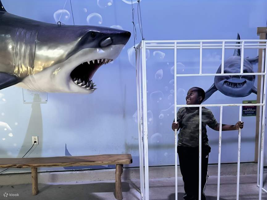 Un niño orgullosamente toma una foto de sí mismo dentro de una réplica de una jaula de tiburones, con un modelo de tiburón gigante que se cierne sobre el exterior.