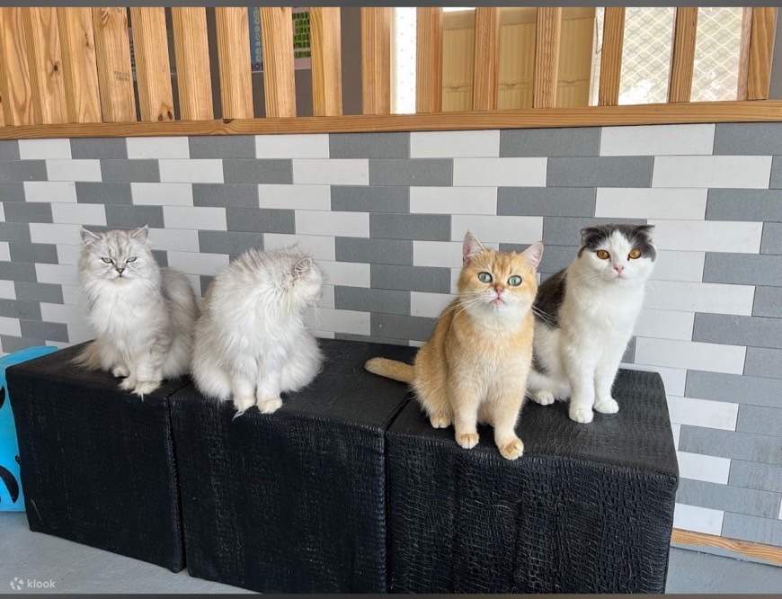 Входной билет в Экологический образовательный парк 