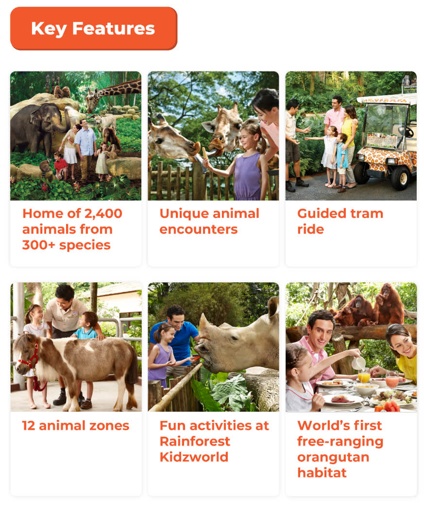 Buy Singapore Zoo Tickets Online World Famous Open Concept Zoo