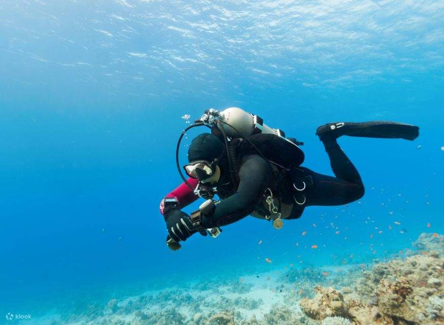 洪加達：入門潛水及浮潛之旅（含午餐）