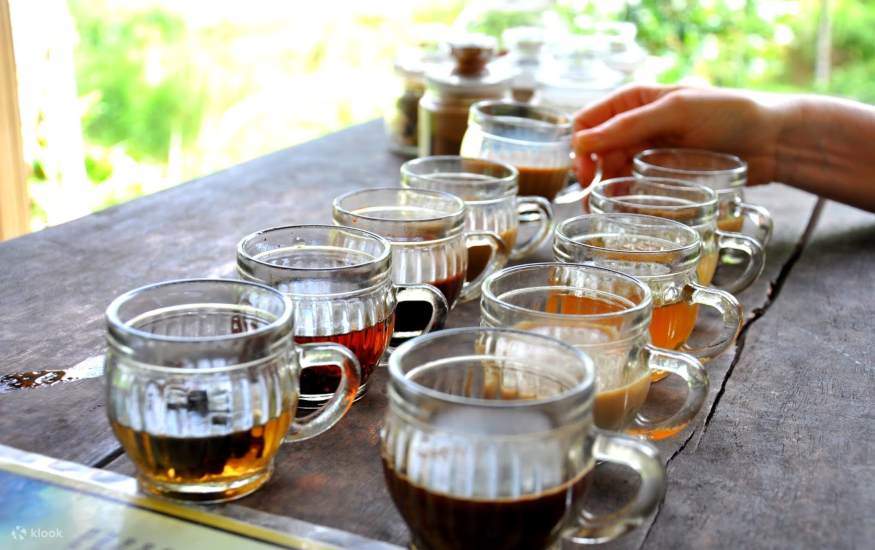 ไร่กาแฟ