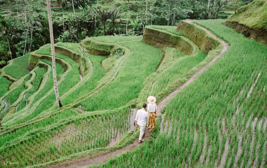 德格拉朗梯田