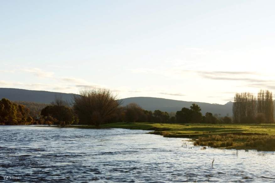 Dégustation de whisky tasmanien Lawrenny à la cave