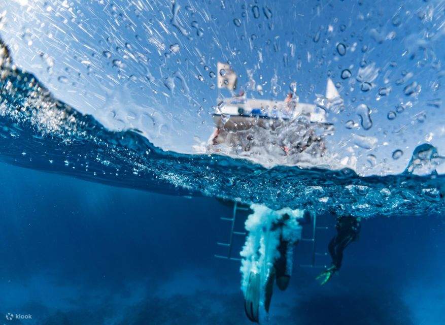 Sharm Diving Boat Cruise Tiran Island dengan Private Transfer