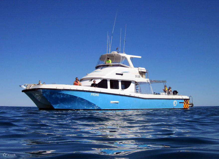 thuyền trên biển