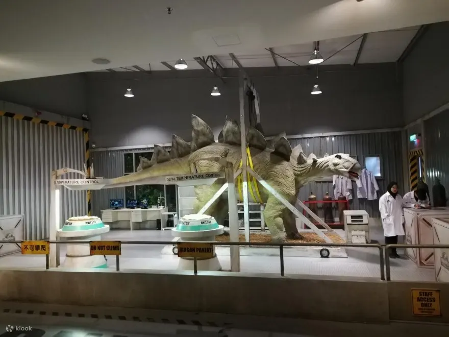 展览