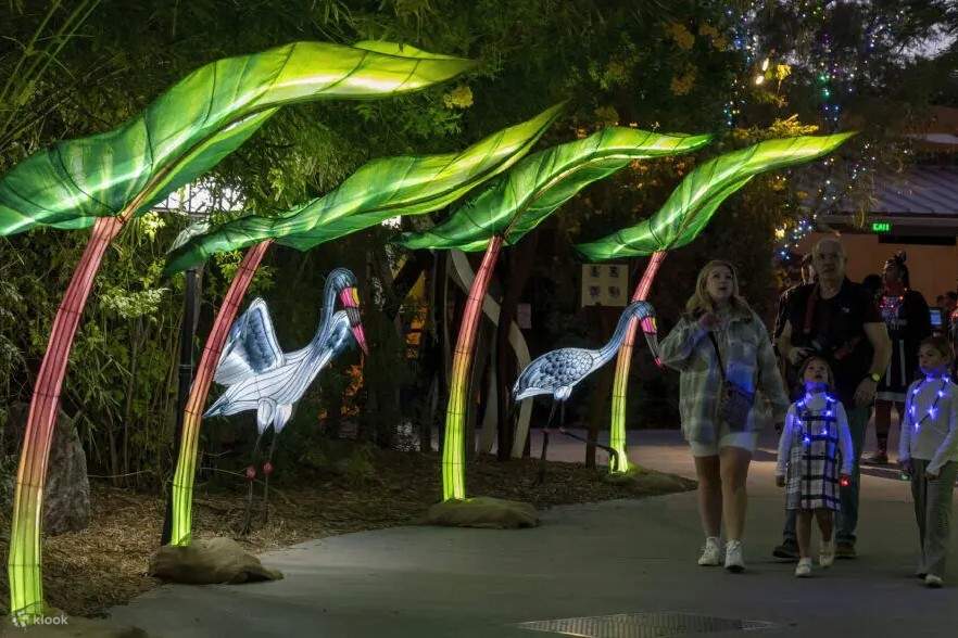 Окунитесь в пустынную страну чудес с миллионами мерцающих огней в Phoenix ZooLights!