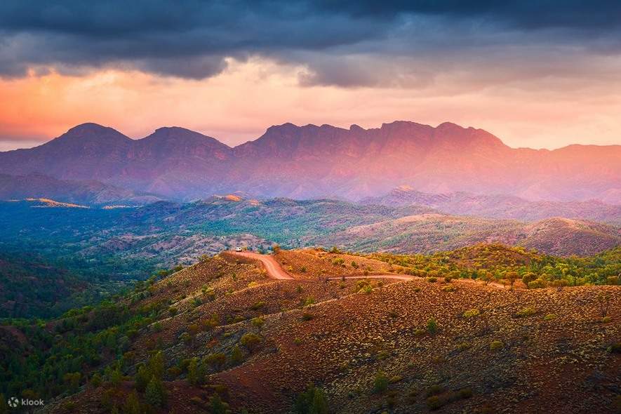 Southern Flinders Ranges Visitor Guide 1 Day Flinders Ranges Southern 4WD Eco Safari Tour - Klook United States