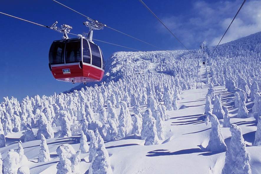 Zao Ropeway & Ginzan Hot Spring Day Trip (Departing from