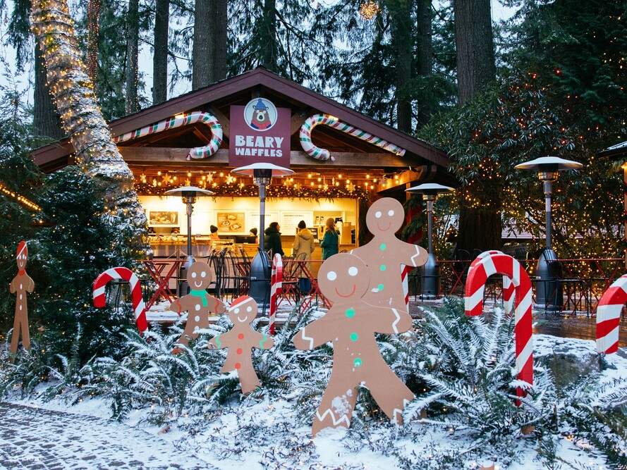 บัตรเข้าชมสะพานแขวนคาปิลาโนในแวนคูเวอร์