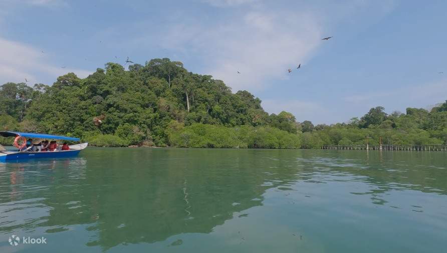 ＊Lang kawiページ＊ Langkawi Island Hopping & Mangrove Tour Combo - Klook Canada