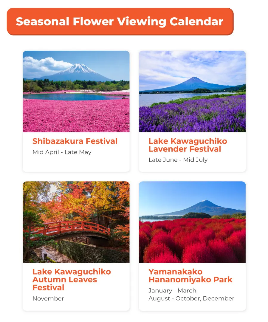 预订富士山花卉观光之旅 一日行程全面玩透富士山 Klook客路中国