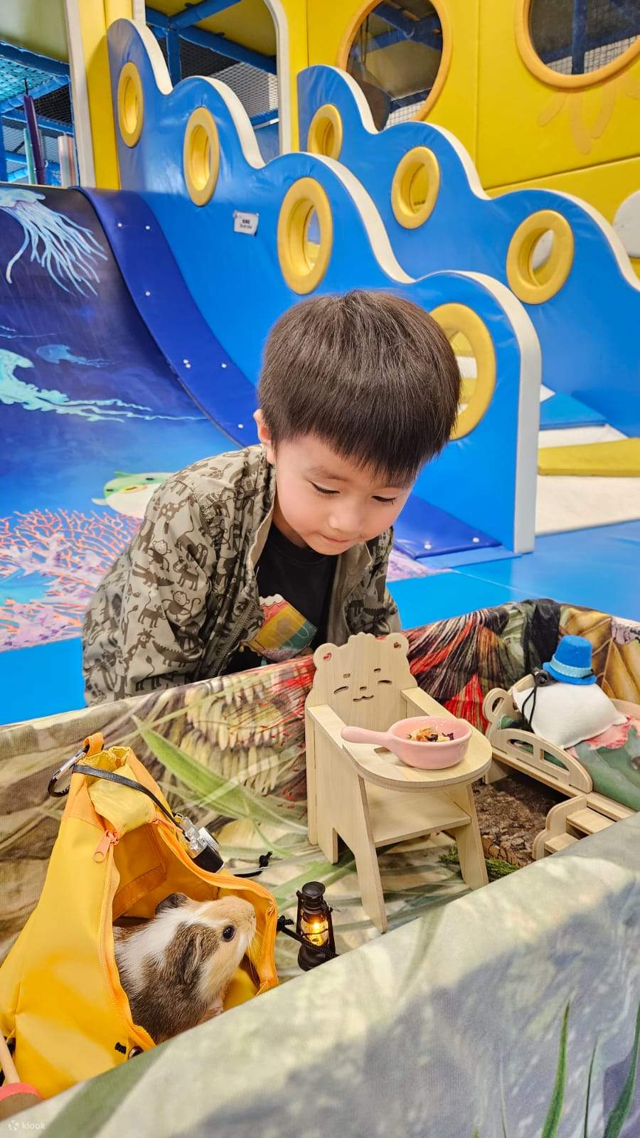 【Oferta exclusiva】 Hong Kong Ocean Park Cubo de Exploración | Destino ideal para familias