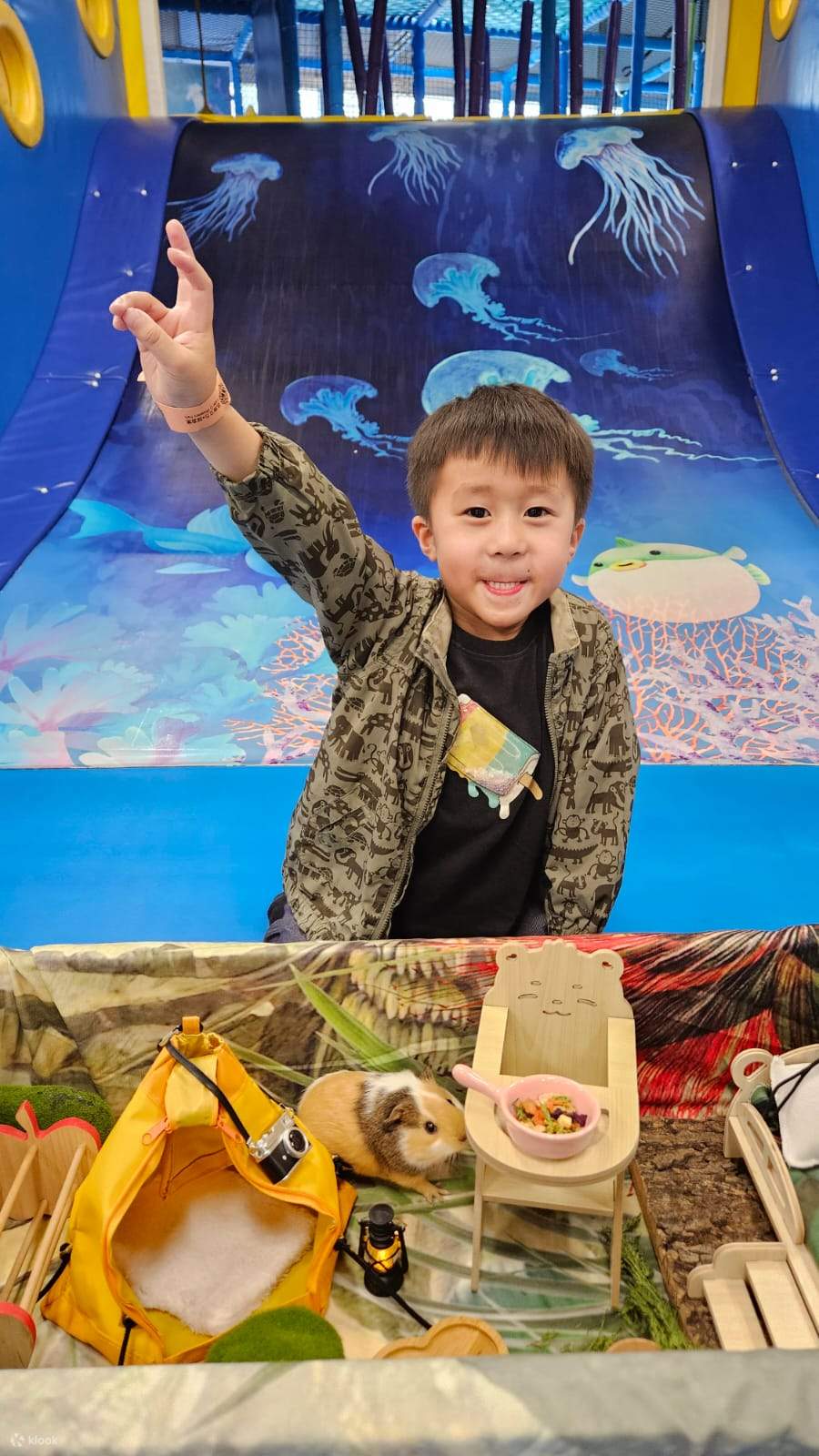 【Oferta exclusiva】 Hong Kong Ocean Park Cubo de Exploración | Destino ideal para familias