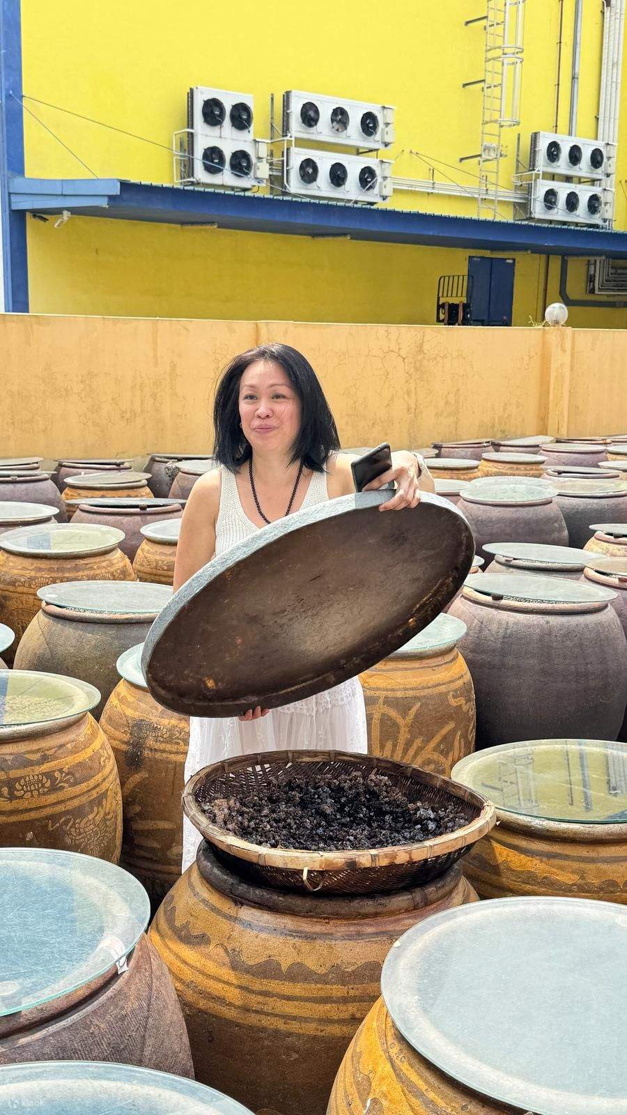 Taller de apreciación de la salsa Nanyang