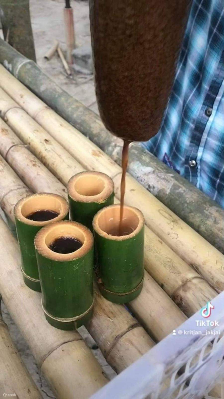 Bamboo Rafting, Turtle Conservation, Coffee making & Monkey Cave - Klook