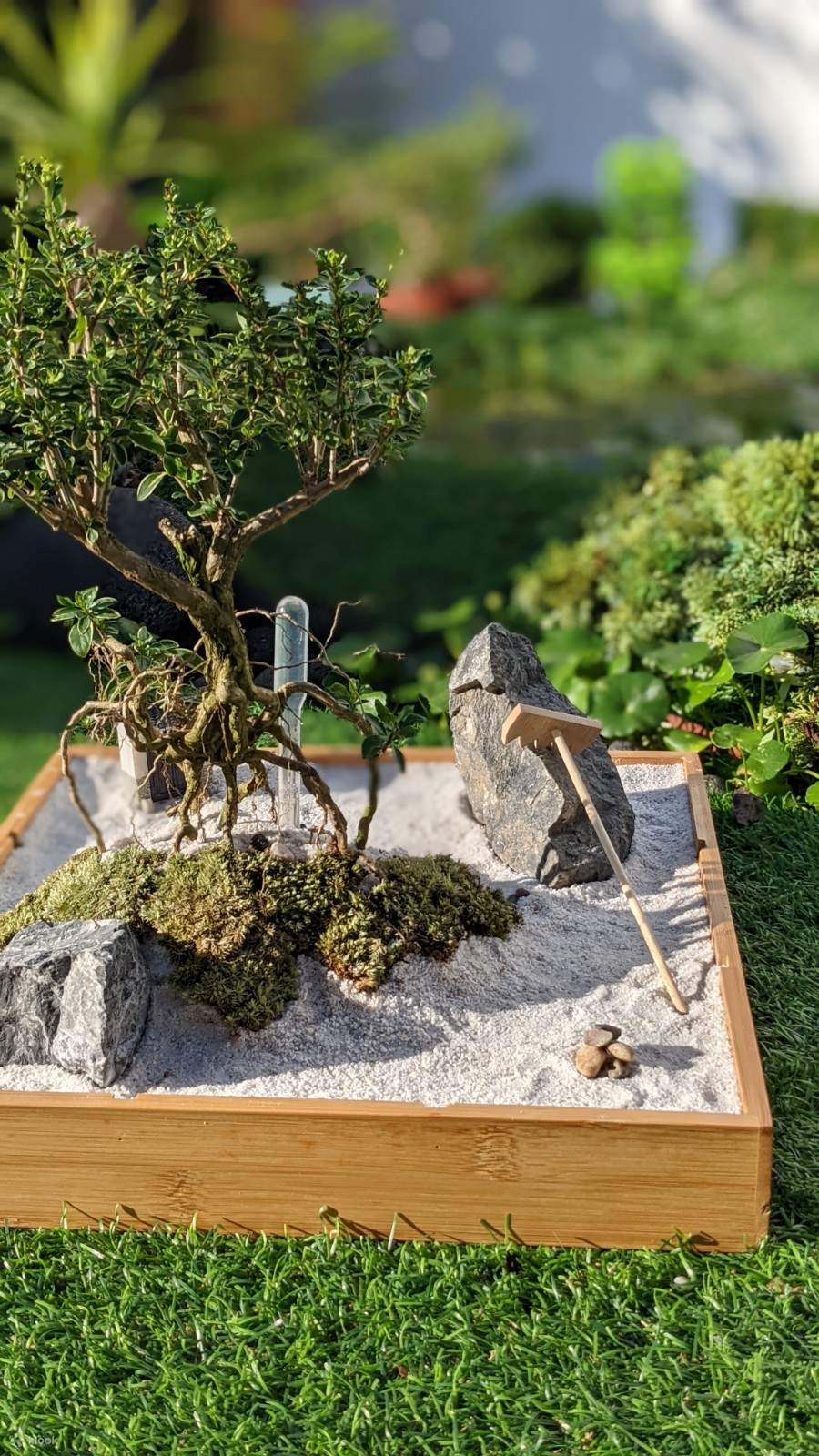 Taller Mini Jardín Zen y Mini Casa del Árbol - Klook Estados Unidos