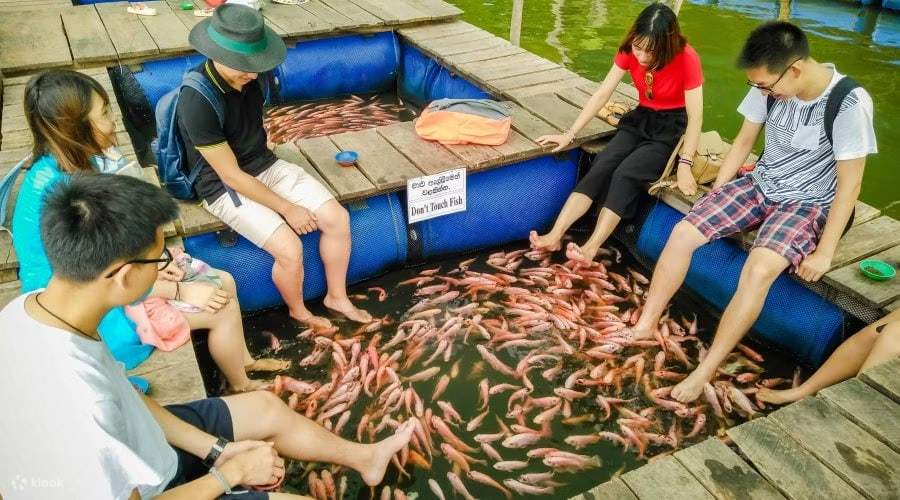 马度河游船之旅、体验鱼足SPA及参访神圣佛教遗址 - Klook客路