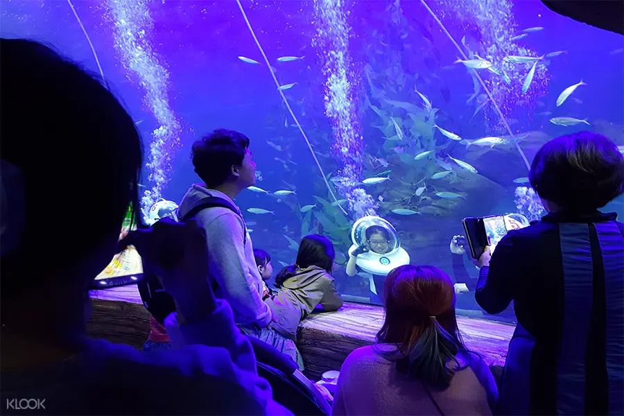 Woongjin水族館門票+ 海底漫步