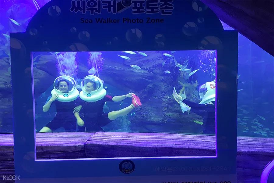 Woongjin水族館門票+ 海底漫步