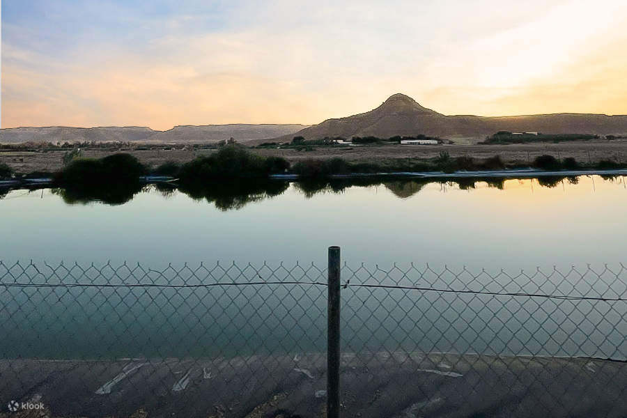 Tour in Buggy presso Glamping Resort 