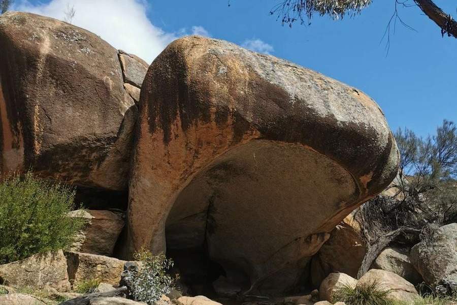 Wave Rock, York, Wildflowers & Aboriginal Culture Day Trip from Perth ...