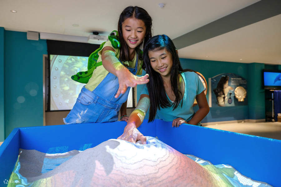 Билет в Центр изучения дельфинов в Банбери