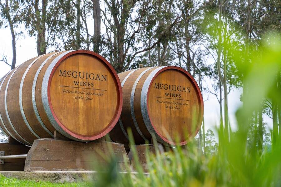 Tour Ngắm Cảnh Thưởng Rượu Và Phô Mai Tại Thung Lũng Hunter Từ Sydney