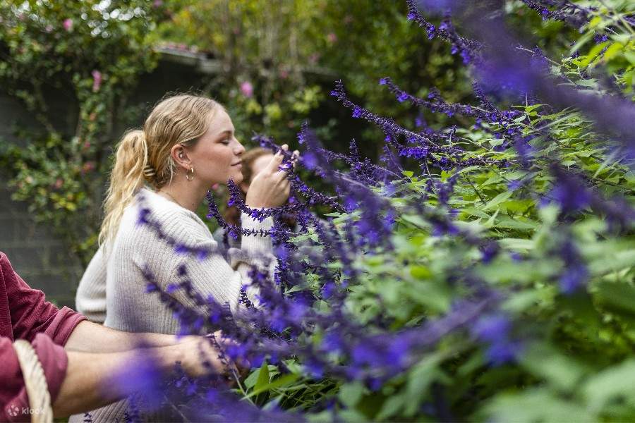 Соберите гарниры на свой вкус