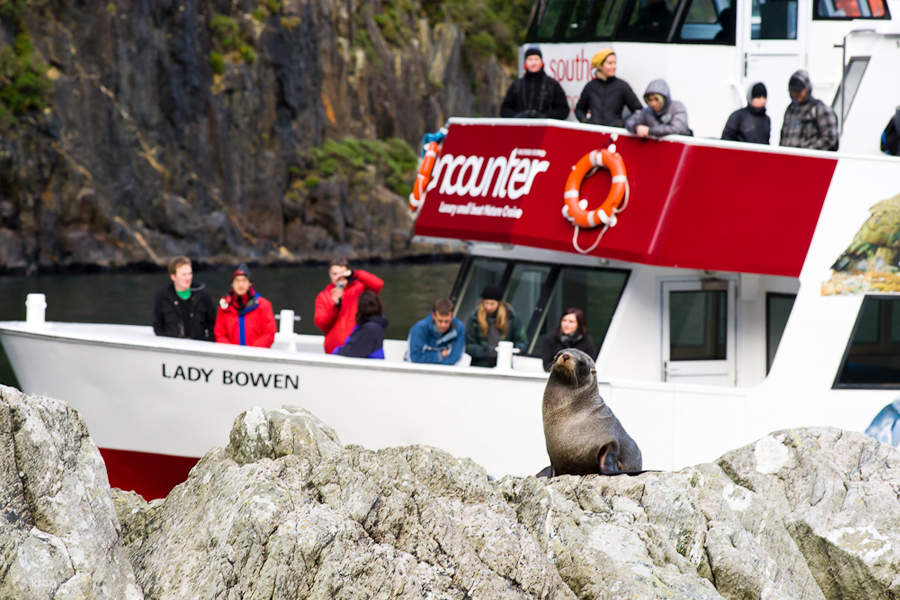 Милфорд Саунд Круиз Новая Зеландия