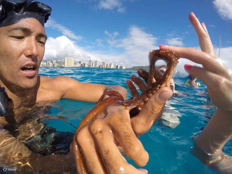 Đội ngũ được chứng nhận cứu hộ sẽ hỗ trợ dưới nước để đảm bảo bạn có một trải nghiệm lặn biển an toàn