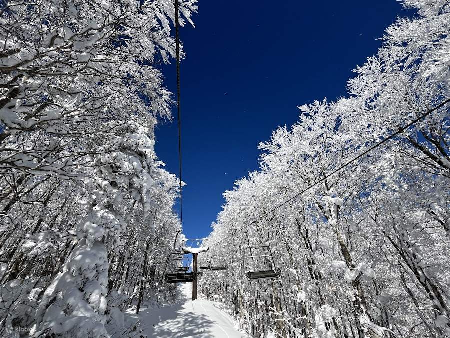 Yamagata Zao, Tohoku, Japan｜Private skiing lesson 3/6 hours