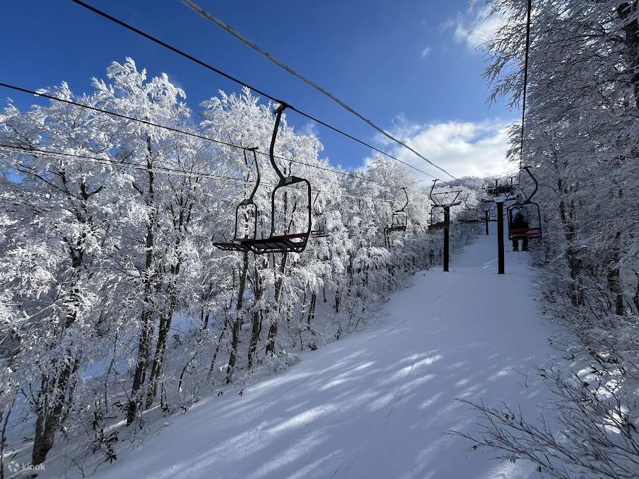 Yamagata Zao, Tohoku, Japan｜Private skiing lesson 3/6 hours