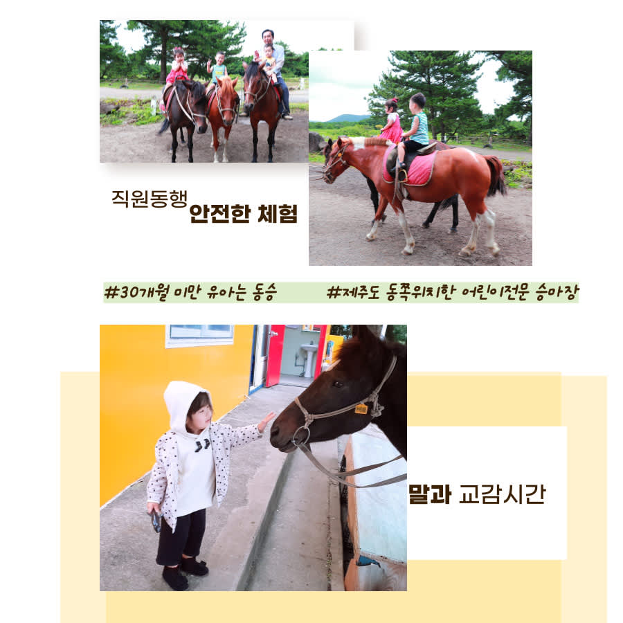 Jeju Island Horseback Riding