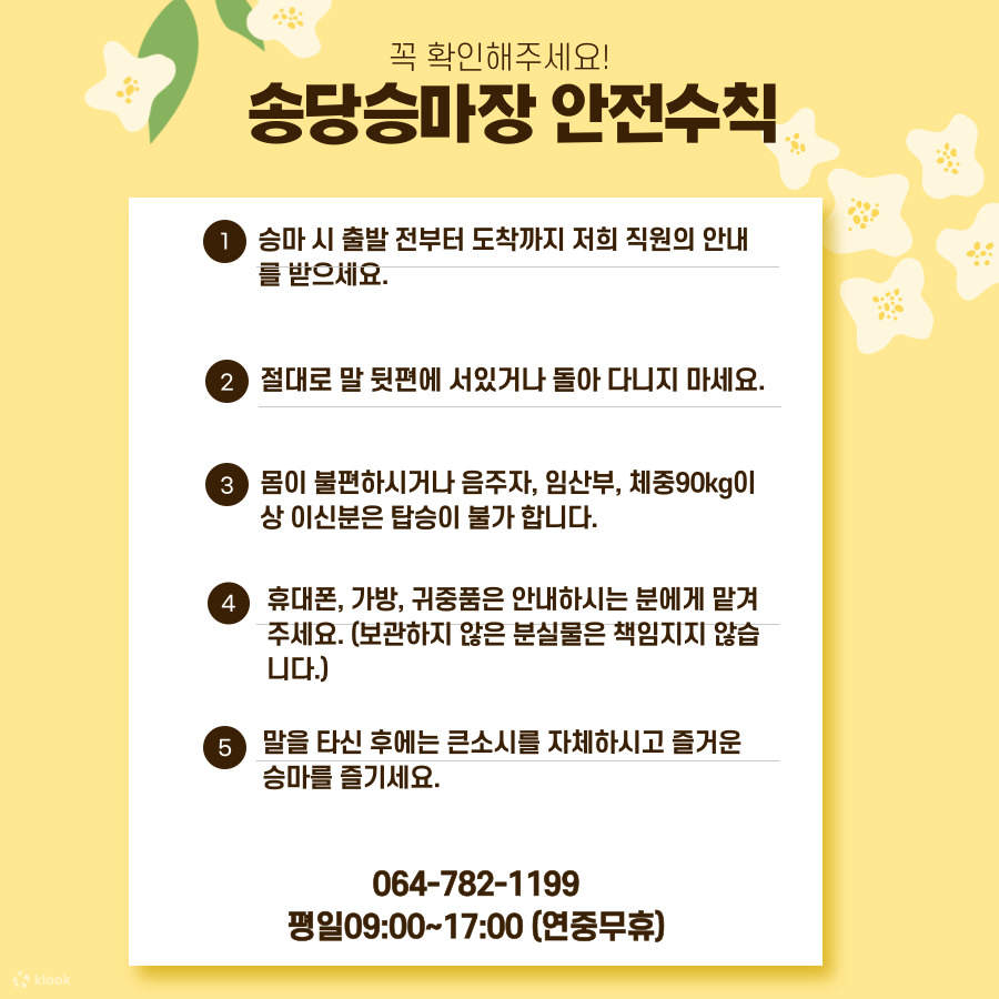 Jeju Island Horseback Riding Experience