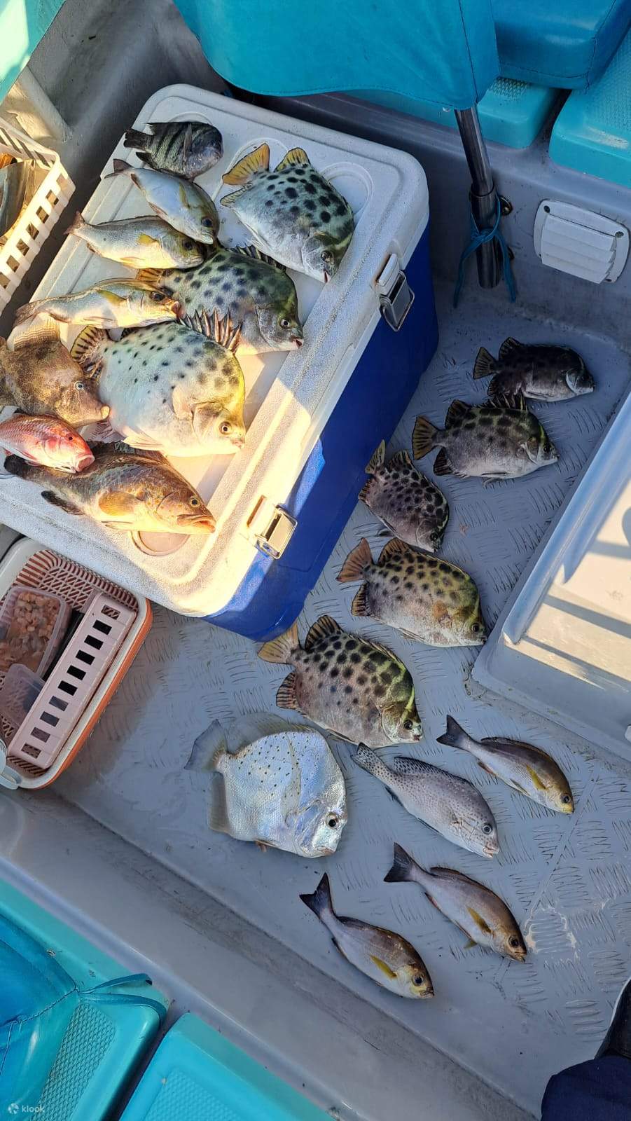 Ji Tsai Kee Fishing Fun Hong Kong Water Fishing Group