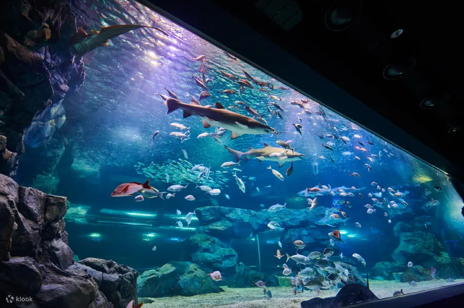 水族馆