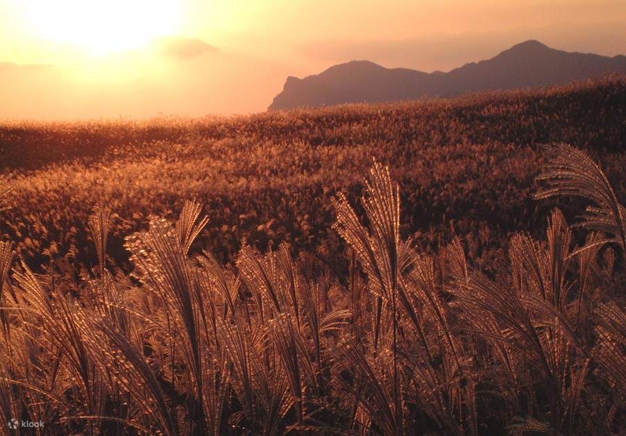 Dataran Tinggi Soni yang luas
