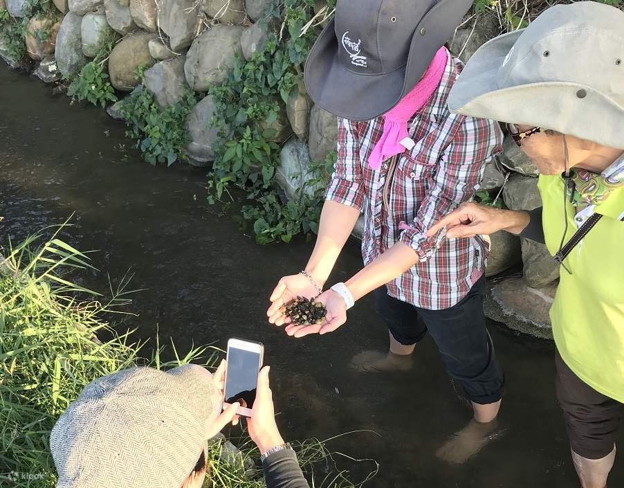 夜の水族館にお泊まり